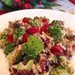 Broccoli Cranberry and Pomegranate Salad served on a salad plate