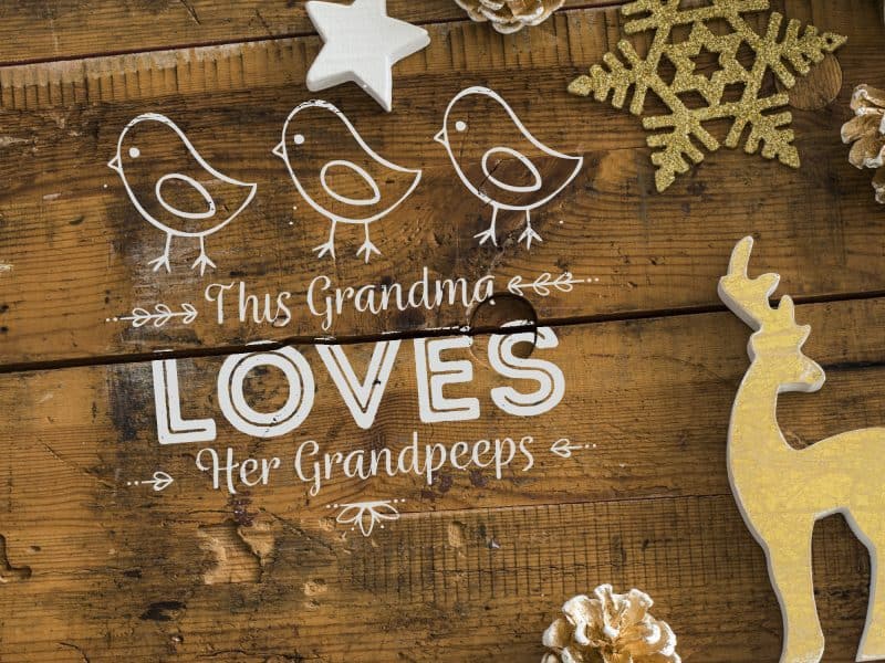 Download Best Of Your Nest Svg Files Norine S Nest