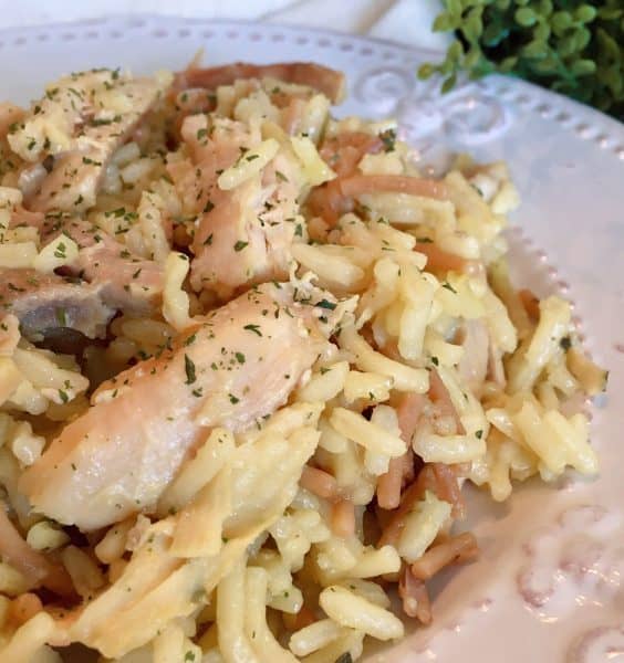 Serving of Chicken and Pasta Rice Casserole