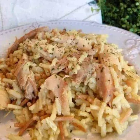 Serving of Chicken and Rice Casserole