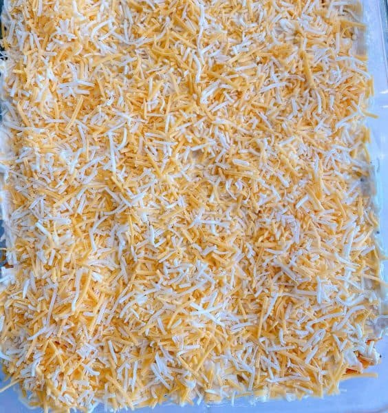 add shredded cheese over chicken 