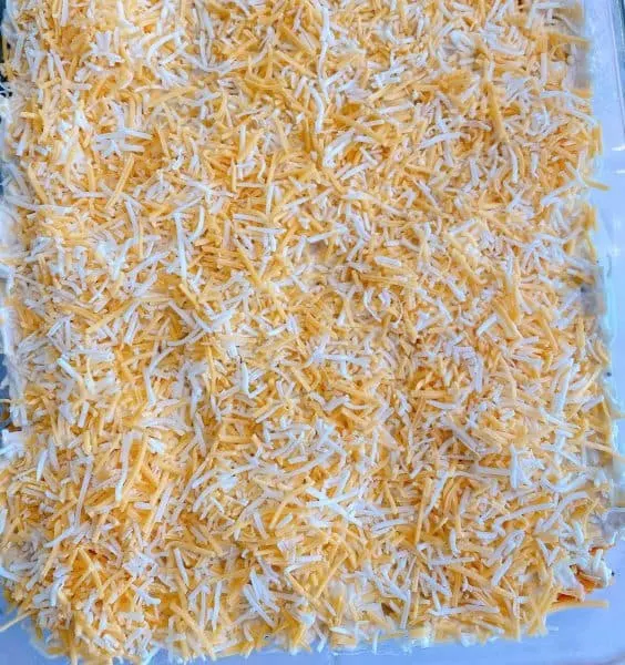 add shredded cheese over chicken 