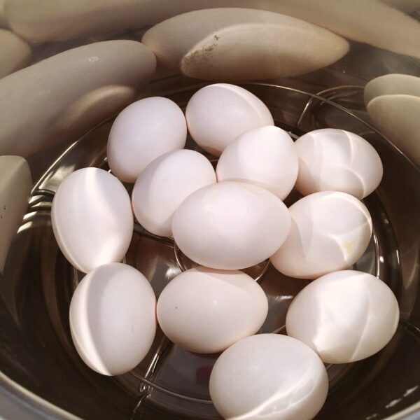 Eggs in the Instant pot waiting to be made.