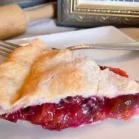 Slice of Purple Plum Pie with a fork