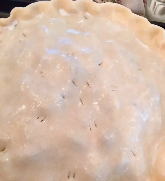 Pie crusts crimped along the edges and brushed with milk