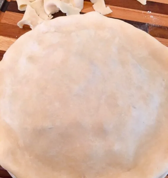 Top Pie Crust placed over the plum pie filling, trimmed and ready for edges to be crimped