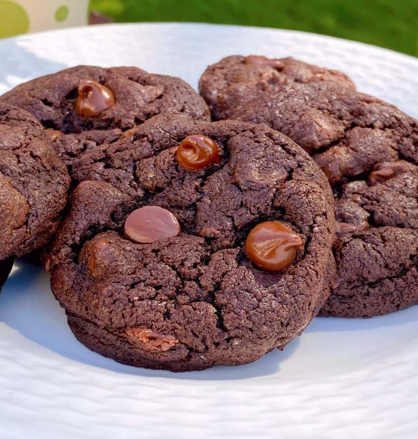 Chocolate Chocolate Chip Cookies on a white plate.