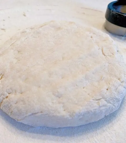 Biscuit dough patted into a disc on a well floured surface