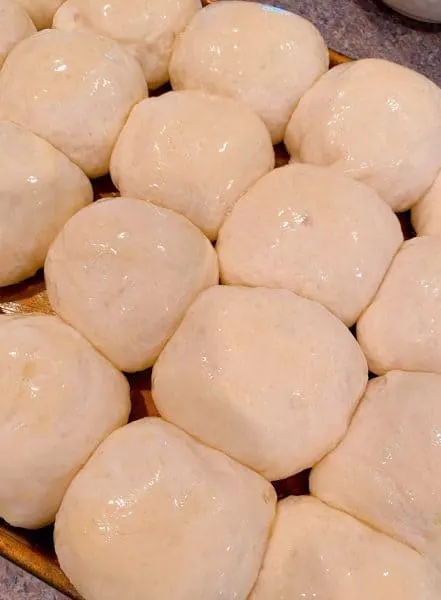 Risen rolls on prepared baking sheet.