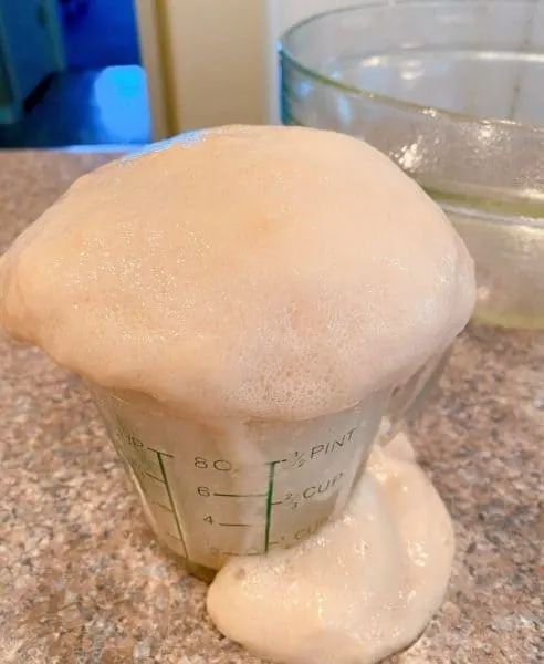 Yeast mixture bubbling in measuring cup.