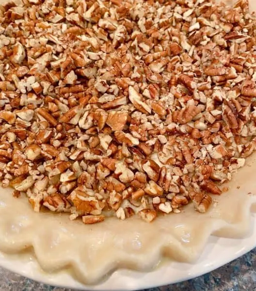 Pie covered in chopped pecans.