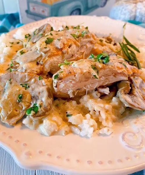 Chicken and mushroom sauce served over steamed rice
