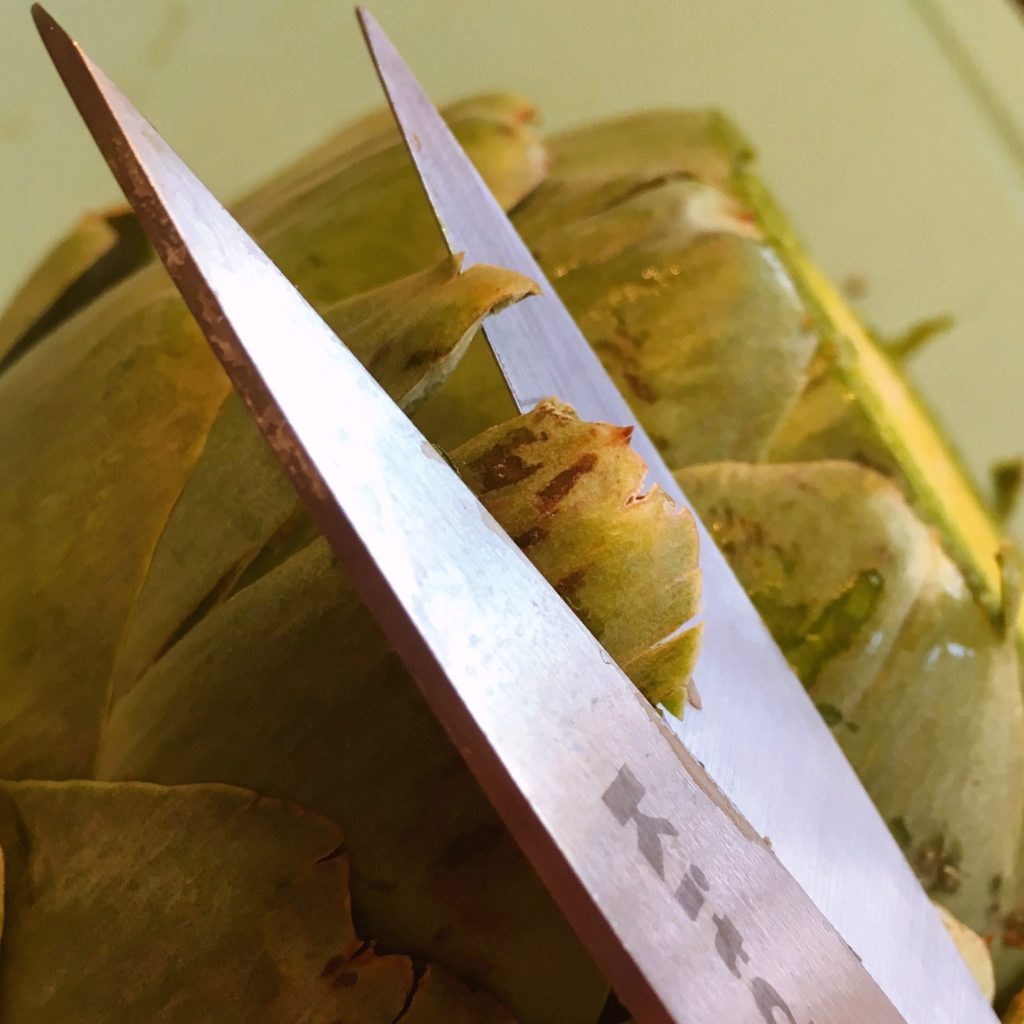 Using scissors to remove the thorny ends of the leaves.