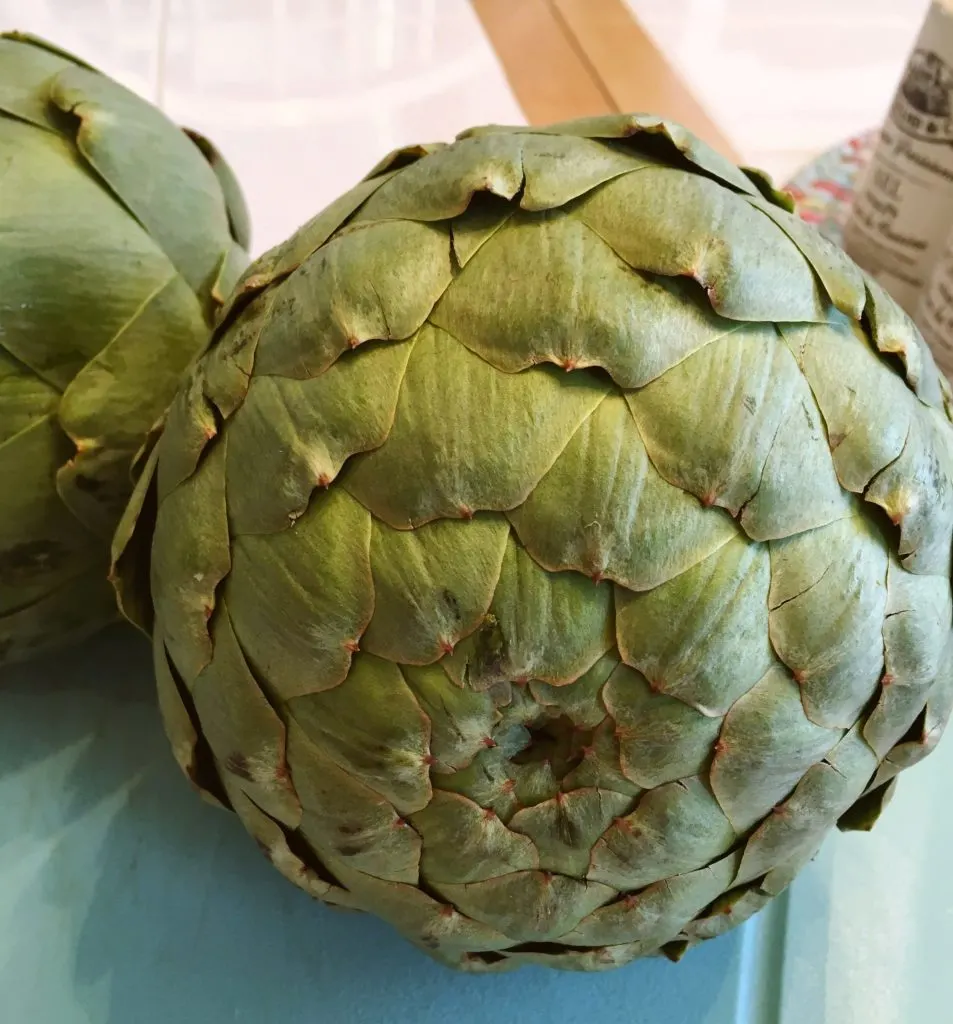 Two artichokes before being prepped for steaming.