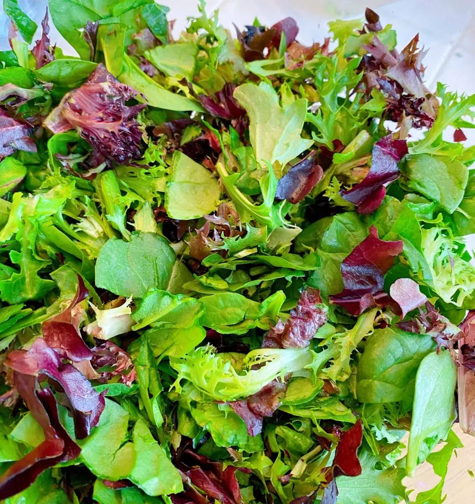 Chopped Salad Greens in a salad bowl. 