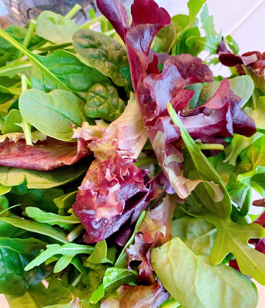 Bowl full of tender spring mix.