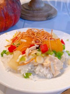 Slow Cooker Chicken Haystack serving on a white plate.