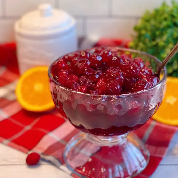Bowl Full of Cranberry Brandy Relish.