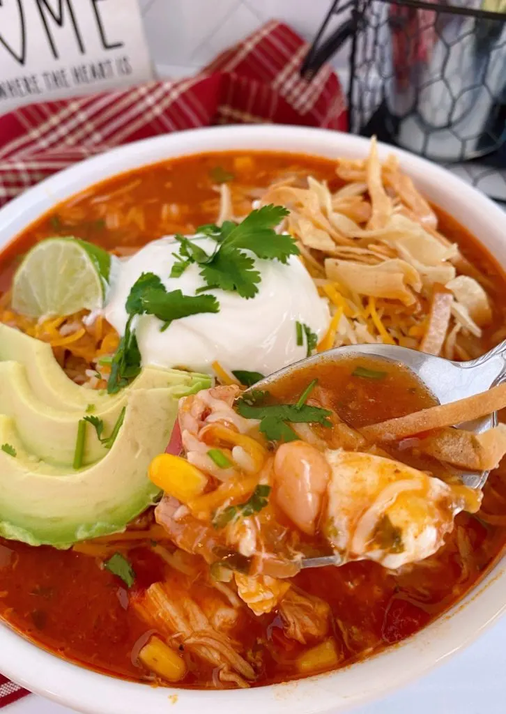 Spoonful of Chicken Tortilla Soup!