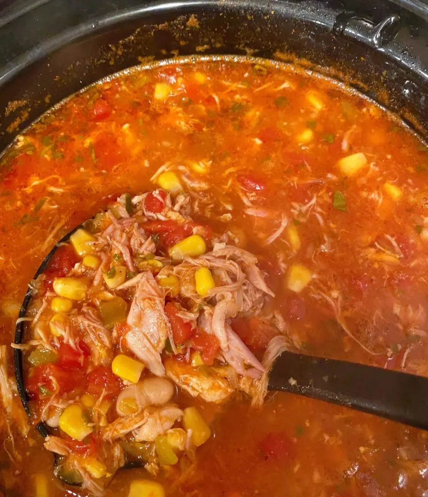 Ladle Full of Chicken Tortilla Soup.