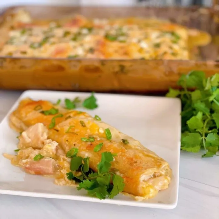 One Chicken Enchilada on a white plate with a pan filled with more chicken enchiladas in the background.