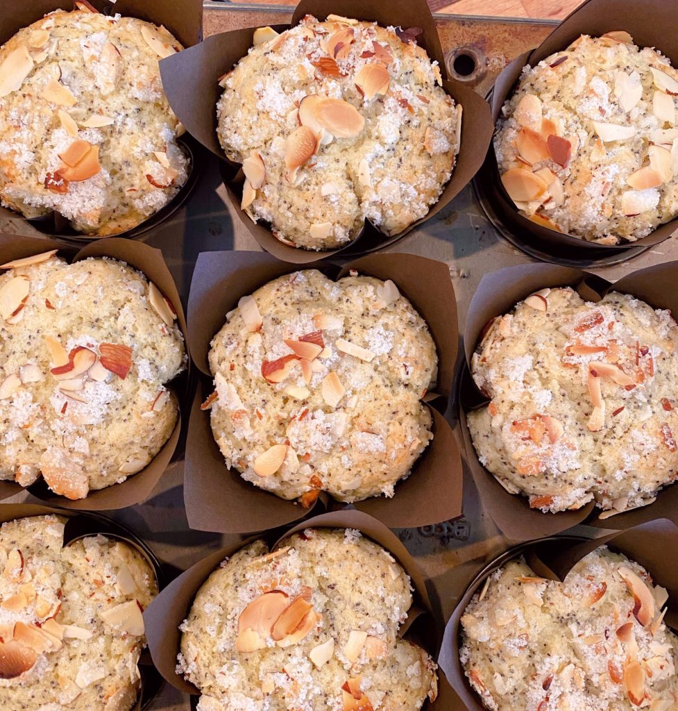 Baked muffins in muffin tin cooling.