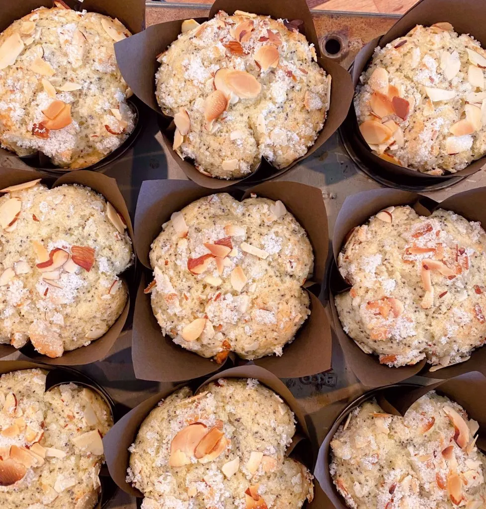 Baked muffins in muffin tin cooling.