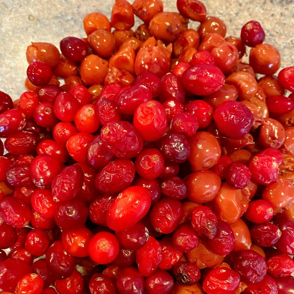Fresh cranberries and tart cherries in a large bowl for pie filling.