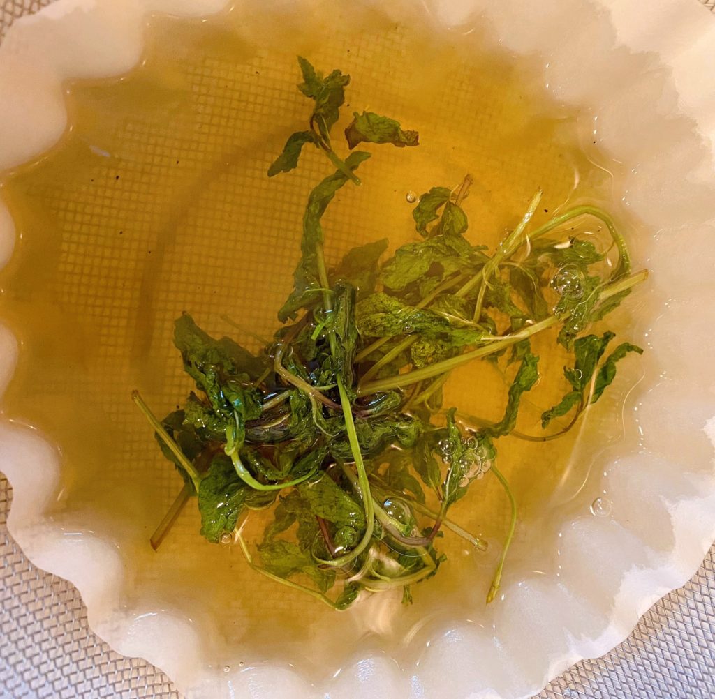 Mint Simple Syrup straining through coffee filter.