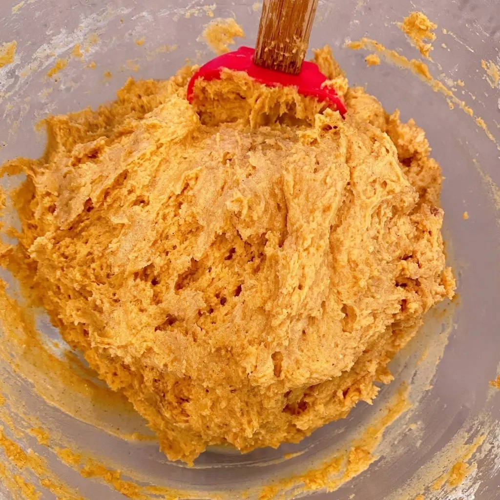 Pumpkin Dough in a bowl .