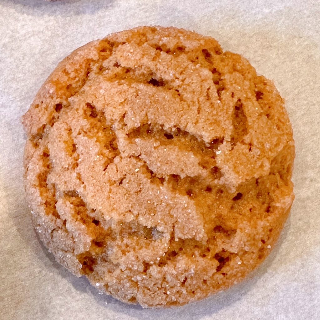 Close up photo of one Gingersnap cookie.