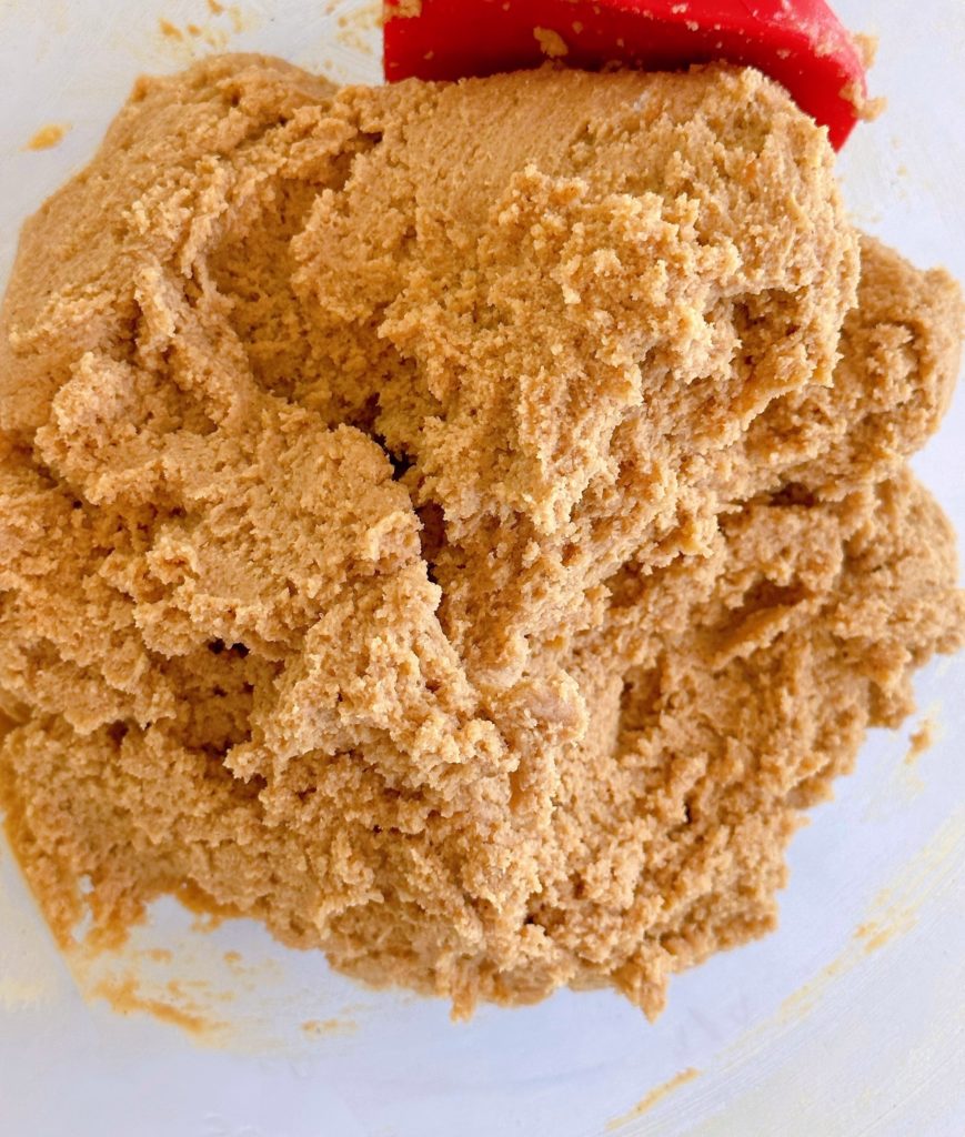 Ginger Molasses Cookie Dough in the mixing bowl.