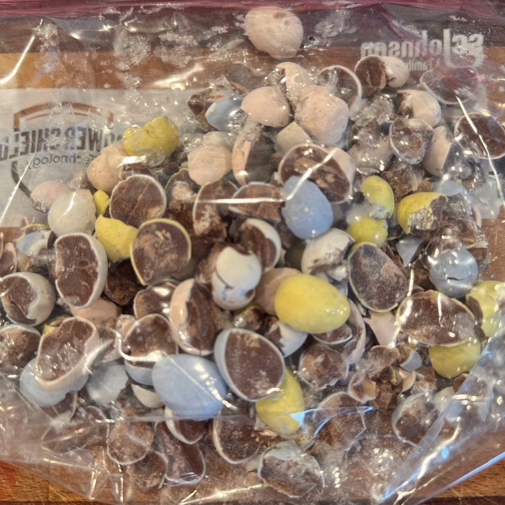 Crushed Cadbury Eggs in a Ziploc bag.