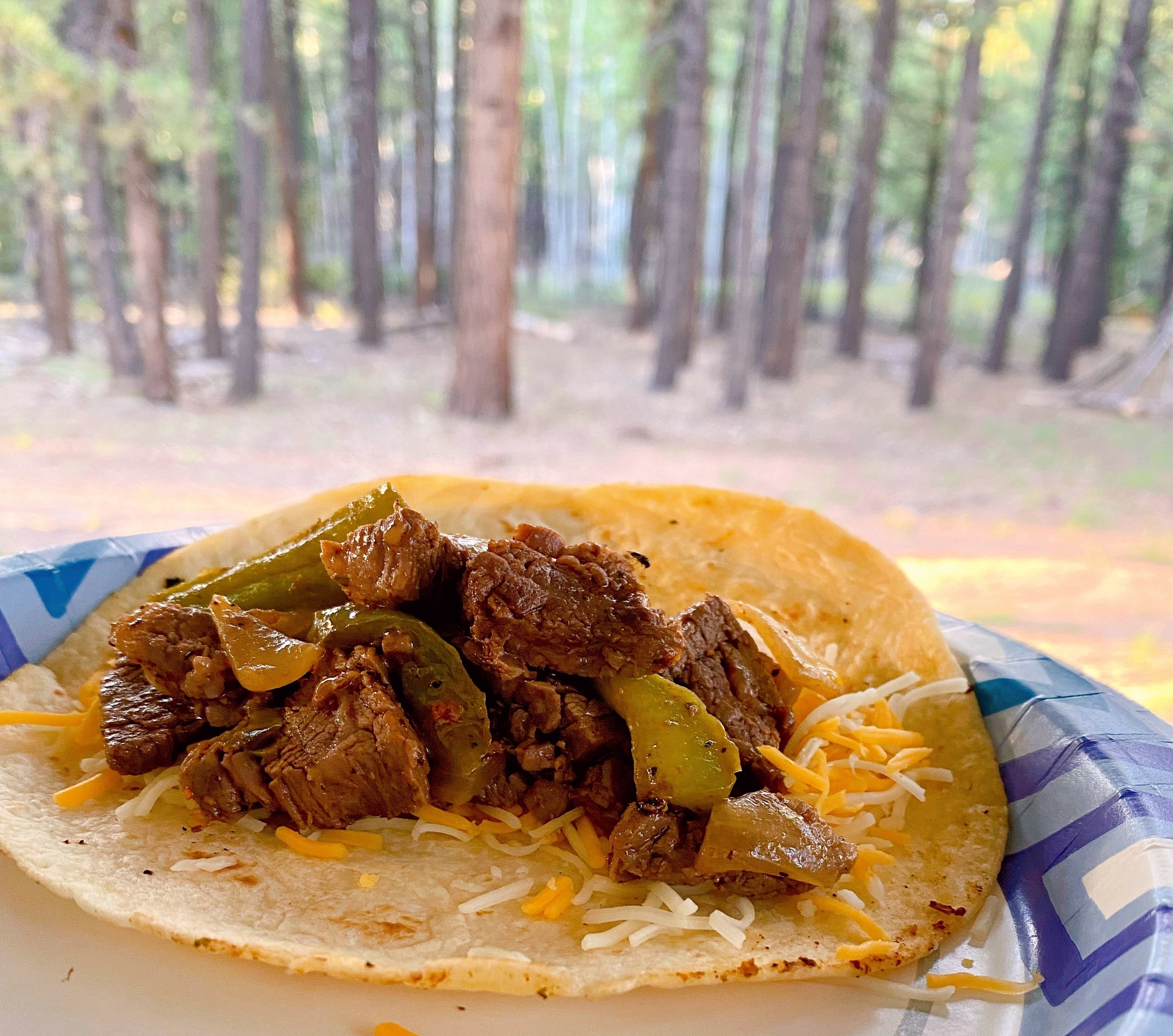 Blackstone Steak Fajitas on a paper plate with the forest in the background.
