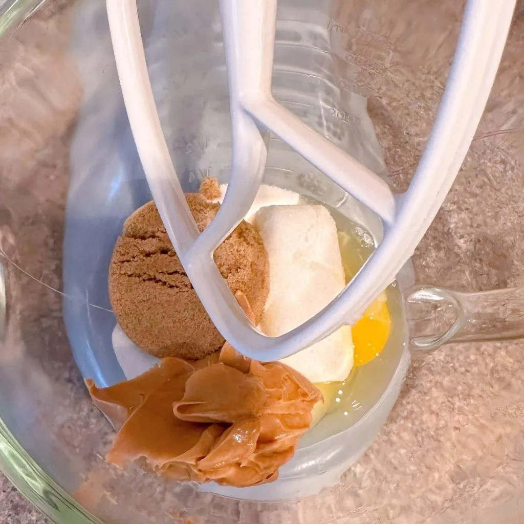 Mixing "wet" ingredients to create the creamy base for chocolate peanut butter cookies.