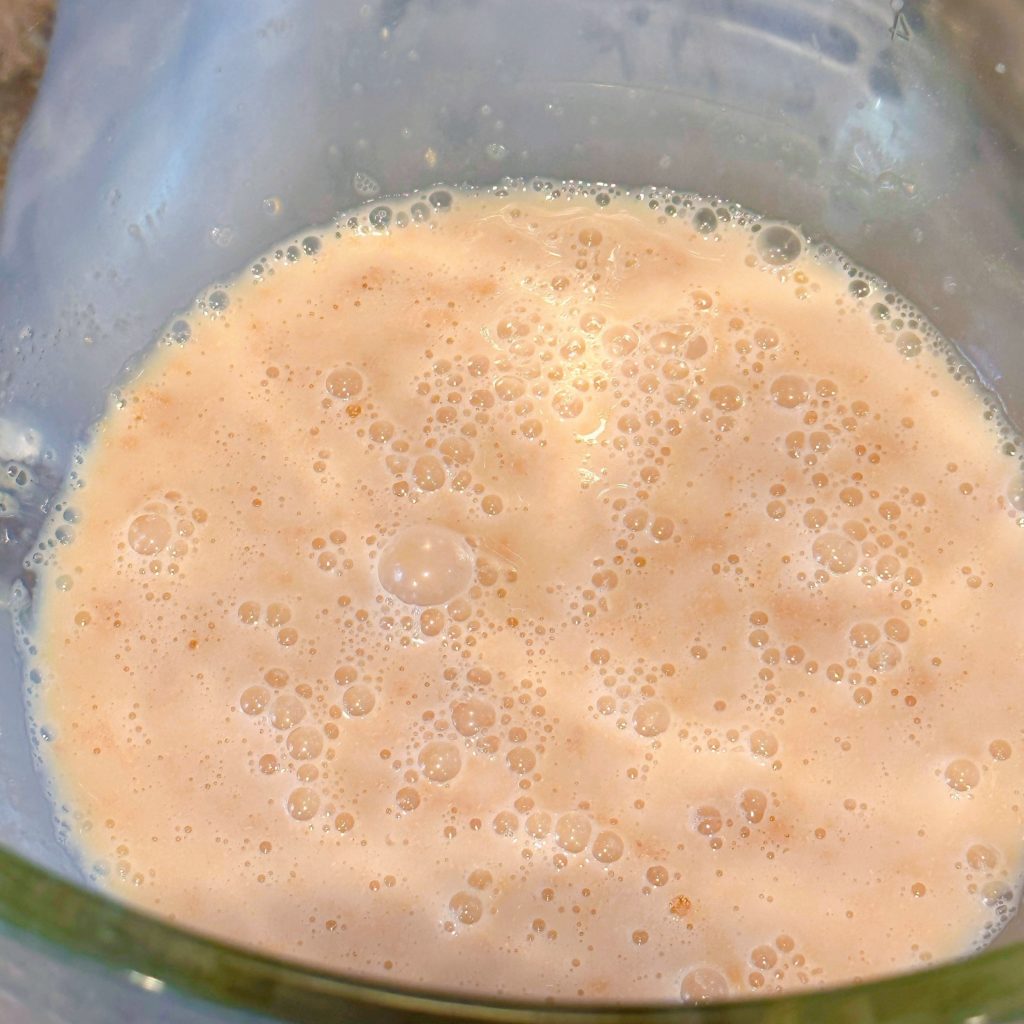 Yeast activated in mixing bowl of stand mixer.