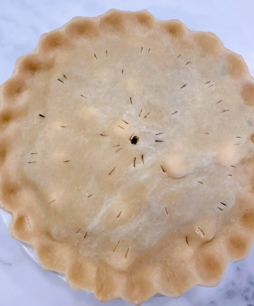 Pie sprinkled with cinnamon sugar and vented for baking.