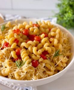 Fresh Tomatoes and Basil with Pasta in a white bowl and fresh Parmesan cheese.