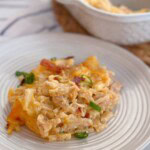 Casserole baked and served on a small dinner plate.