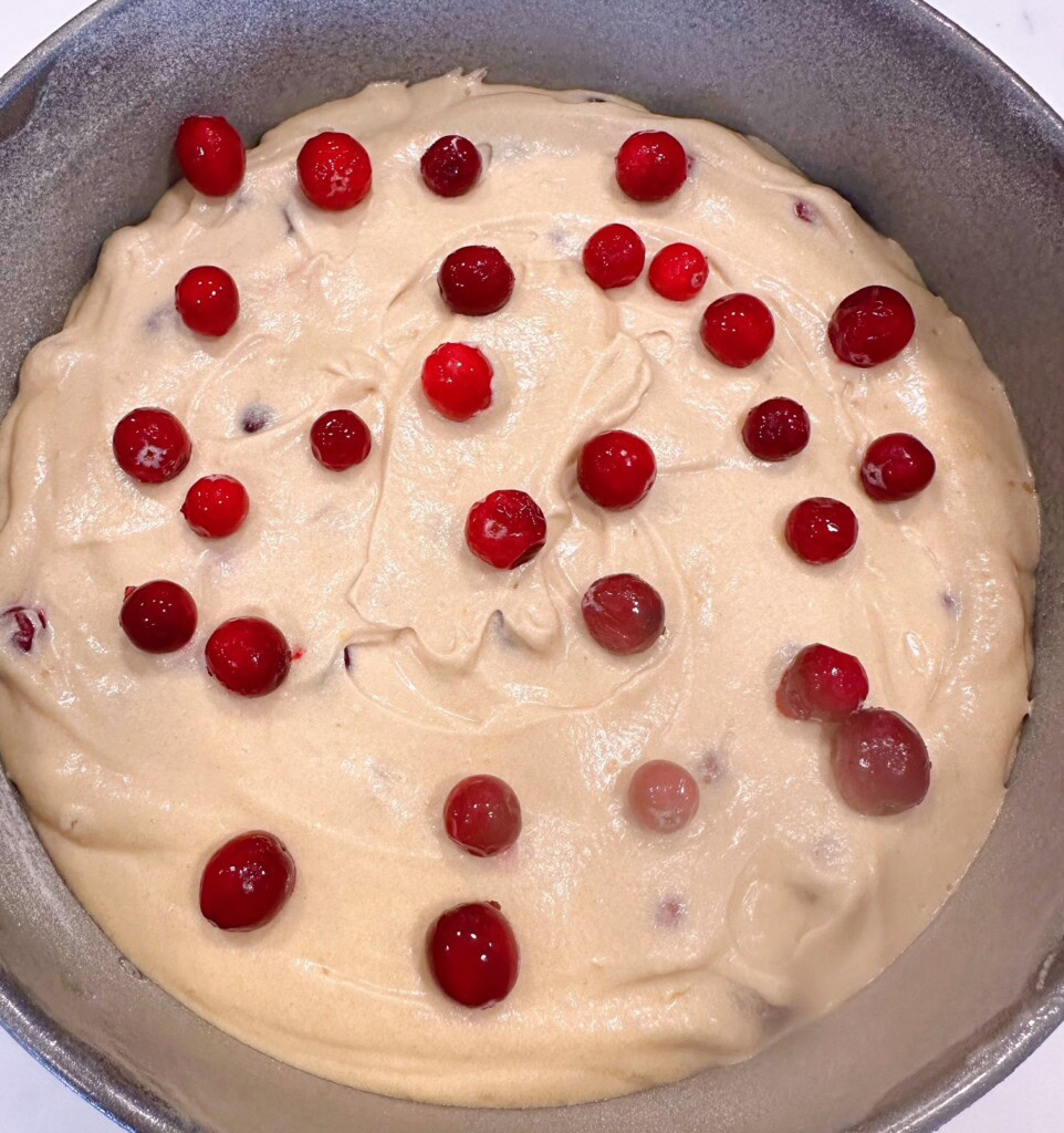 Cranberry Almond Orange cake topped off with extra cranberries.